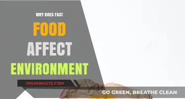 Fast Food's Hidden Cost: Environmental Impact and Sustainability Challenges
