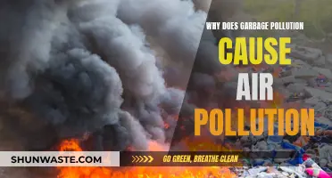 Garbage Pollution: How It Contributes to Air Quality Issues