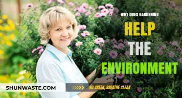 Gardening's Green Impact: How Cultivating Plants Benefits Our Environment