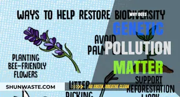 Genetic Pollution: Unseen Threat to Biodiversity and Ecosystem Health