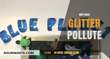 Glitter's Dark Side: How Sparkles Harm Our Environment and Oceans
