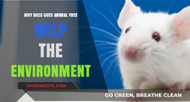 Animal-Free Living: How It Benefits Our Planet and Environment