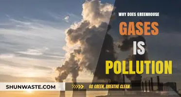 Greenhouse Gases: Unveiling Their Role as a Major Pollutant