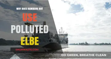 Clean Elbe, Healthy Hamburg: Avoiding Pollution for a Sustainable Future