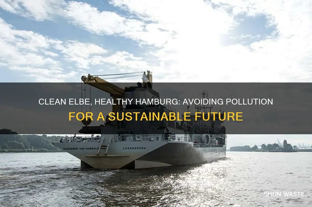 why does hamburg not use polluted elbe
