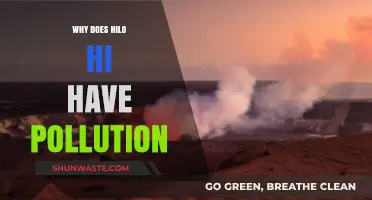 Why Hilo, Hawaii Struggles with Pollution: Causes and Solutions