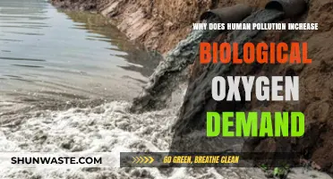 Human Pollution's Impact: How It Skyrockets Biological Oxygen Demand