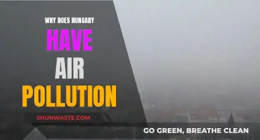 Budapest's Air Pollution: The Capital's Choking Crisis