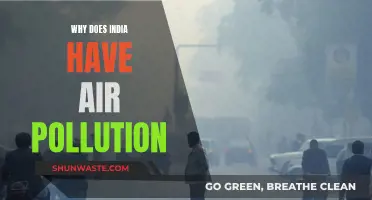 Air Pollution in India: A Complex Crisis