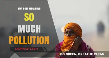 India's Pollution Crisis: Causes, Consequences, and Urgent Solutions Needed
