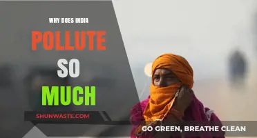 India's Pollution Crisis: Unraveling Causes and Seeking Sustainable Solutions