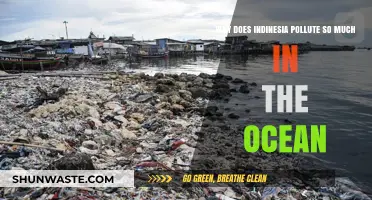 Indonesia's Ocean Pollution Crisis: Causes and Urgent Solutions Needed
