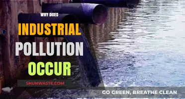 Unveiling the Root Causes of Industrial Pollution and Its Impact
