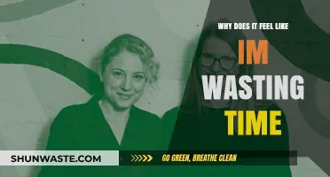 The Nagging Feeling of Wasted Time: A Deep Dive into Procrastination and Productivity