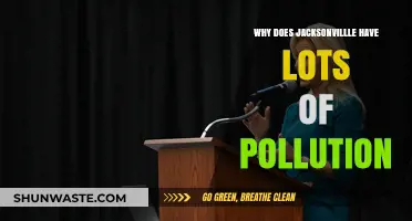 Jacksonville's Pollution Crisis: Uncovering the Causes and Consequences