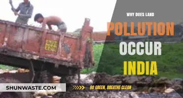 Understanding the Root Causes of Land Pollution in India