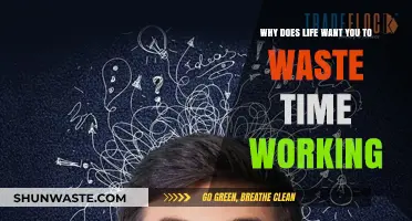 The Paradox of Productivity: Why Life Often Feels Like a Time-Wasting Endeavor