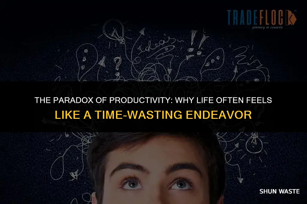 why does life want you to waste time working