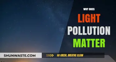 Light Pollution's Impact: Why Darkness Matters for Nature and Humans