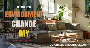 How Your Living Environment Shapes Your Health, Habits, and Happiness