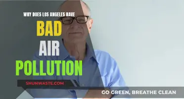 Los Angeles: Air Pollution Capital