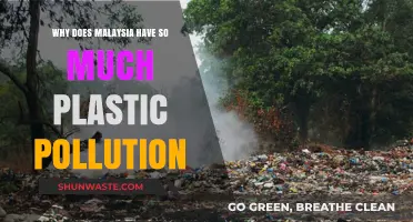 Malaysia's Plastic Crisis: Unraveling the Causes of Widespread Pollution