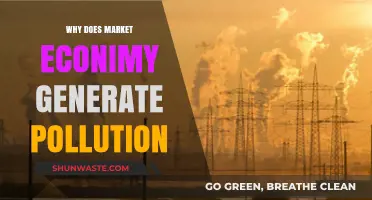 Market Economies and Pollution: Unraveling the Environmental Cost of Growth