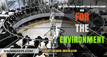 Mass Breeding and Slaughtering: Environmental Impacts and Unsustainable Practices