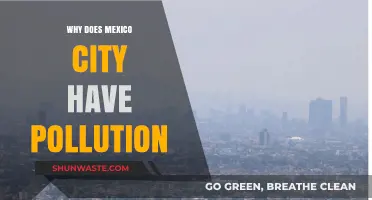 Why Mexico City Struggles with Severe Air Pollution: Key Factors Explained