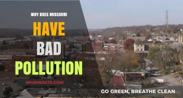 Missouri's Pollution Crisis: Uncovering the Causes of Environmental Decline