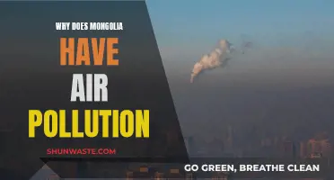 How Mongolia's Air Became Polluted