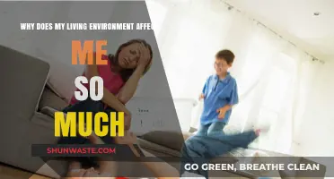 How Your Living Space Shapes Mood, Health, and Productivity