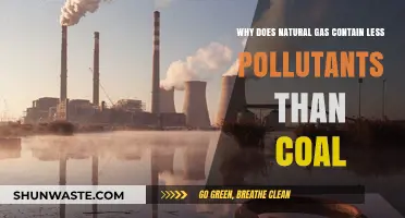 Natural Gas vs. Coal: Cleaner Energy with Fewer Emissions