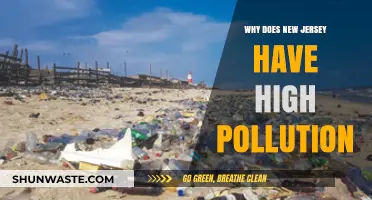 Why New Jersey's Pollution Levels Remain High: Causes and Concerns