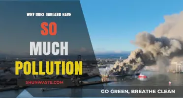 Oakland's Pollution Crisis: Uncovering the Causes and Impact on Residents