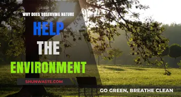 Observing Nature: How Mindful Awareness Benefits Our Environment