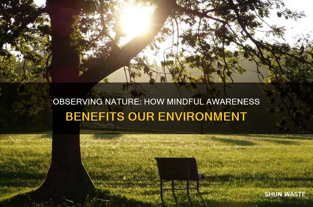 why does observing nature help the environment