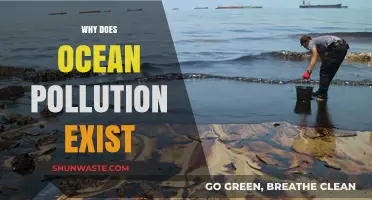 Unveiling the Causes of Persistent Ocean Pollution and Its Impact