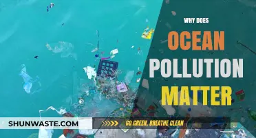 Ocean Pollution's Impact: Why It Matters for Our Planet's Future