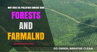 Oil Pollution's Devastating Impact on Rainforests and Farmland Explained