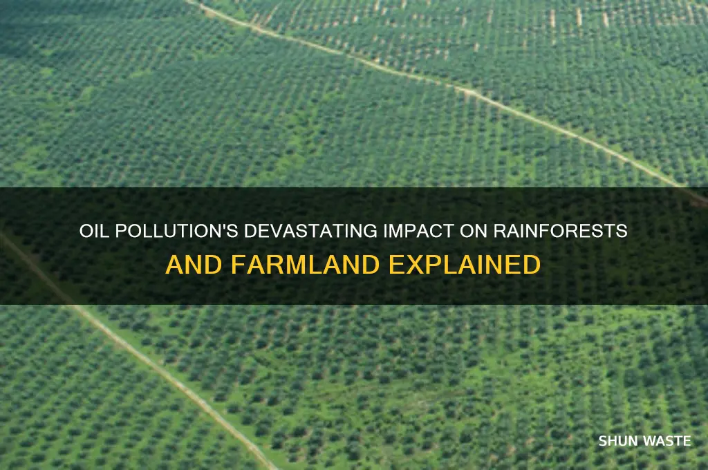 why does oil pollution damage rain forests and farmalnd