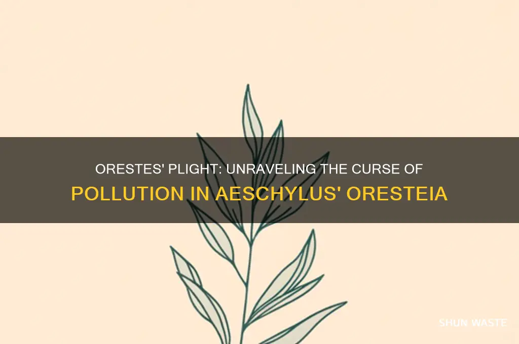 why does orestes speak of pollution