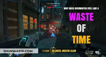 Is Overwatch Really Worth Your Time? A Gamer's Dilemma