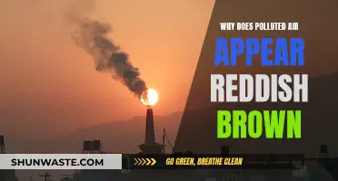 Air Pollution: Reddish-Brown Skies and Their Causes