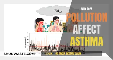 How Pollution Triggers Asthma Attacks and Symptoms