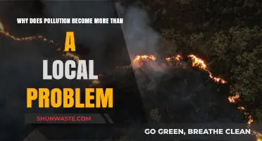 Pollution's Global Reach: How Local Issues Become Worldwide Crises