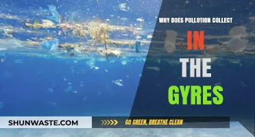Ocean Gyres: How Pollution Accumulates in Earth's Marine Whirlpools