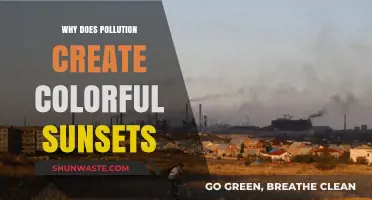 Pollution's Paradox: How Smog Enhances Vibrant Sunset Colors Explained