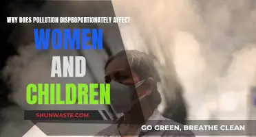 Pollution's Disproportionate Impact: Women and Children Suffer Most