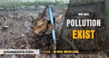 Understanding the Root Causes of Persistent Global Pollution